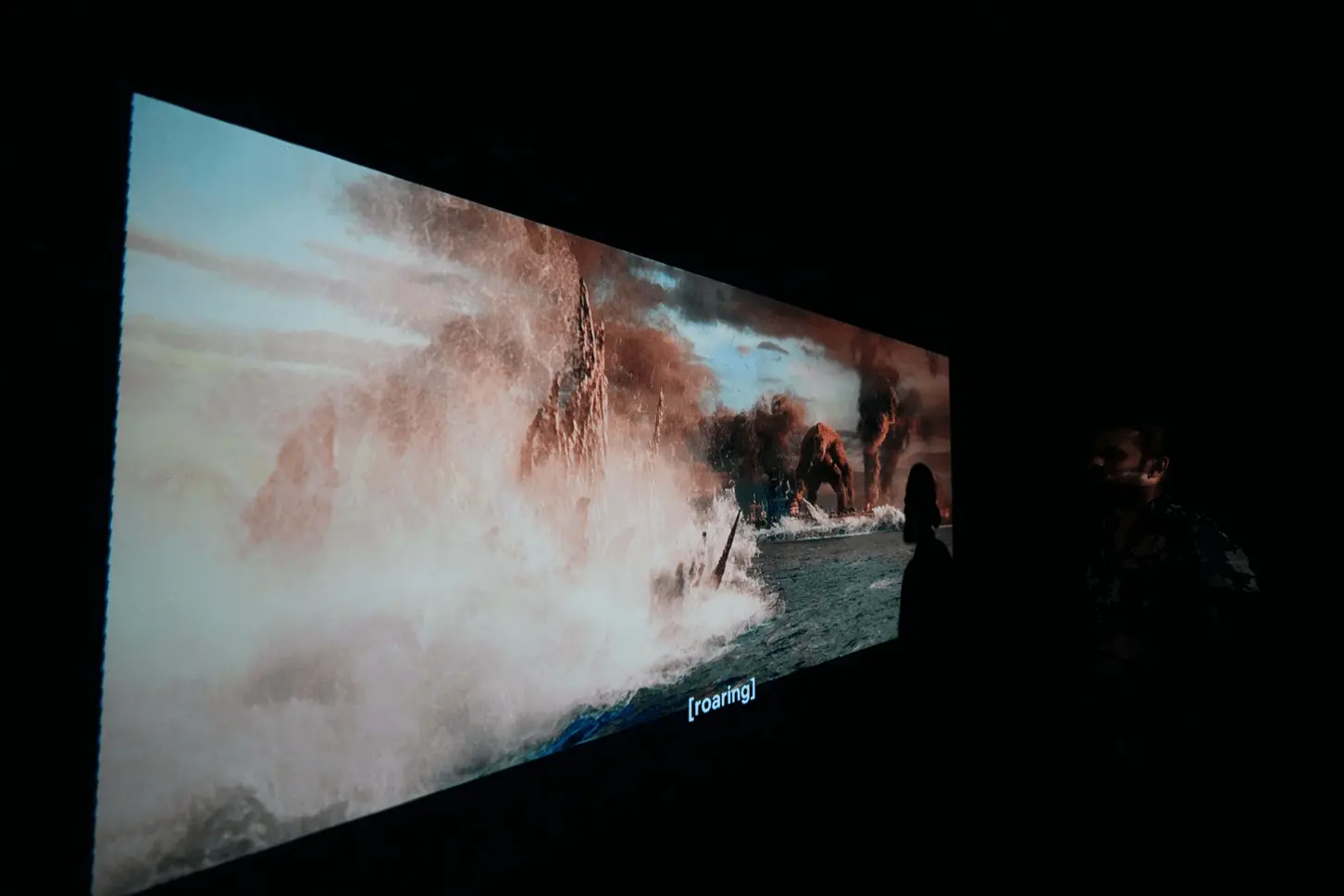 Theater Screen 3 - Front view